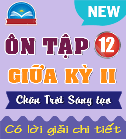 Ôn tập Giữa học kỳ II (CTST_12)